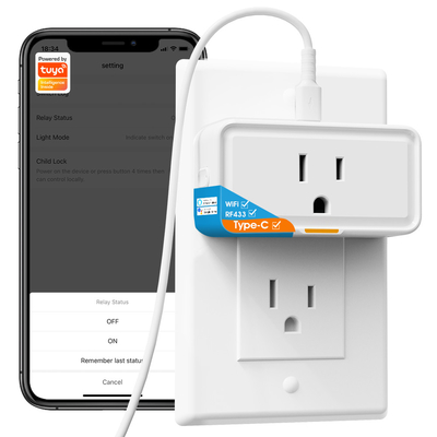 Tuya stopcontact Power Monitor Plug APP Voice Werkt met Alexa Google Home Smart Type c WiFi RF433 Steek