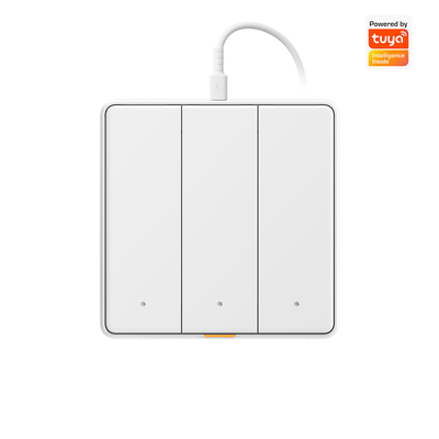 Tuya WIFI touch Switch Smart home met type C Timing Voice App Alexa, Google Home RF433 Smart EU Wall Light Button Switch